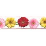 Samolepiaca bordúra gerbery 5 m x 8,3 cm - POSLEDNÉ KUSY