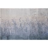 Vliesové fototapety rákosie s patinou rozmer 375 cm x 250 cm