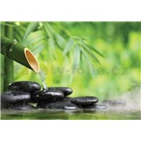 Vliesové fototapety lávové kamene a bambus rozmer 368 cm x 254 cm - POSLEDNÉ KUSY