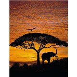 Fototapeta Afrika, rozmer 194 x 270 cm