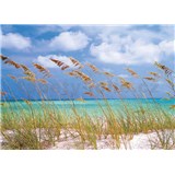 Fototapeta Ocean Breeze, rozmer 368 x 254 cm - POSLEDNÉ KUSY