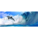 Vliesové fototapety delfín, rozmer 250 x 104 cm