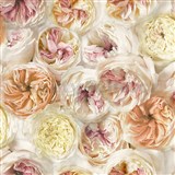 Vliesové tapety na stenu Facade pivonky farebné - POSLEDNÉ KUSY