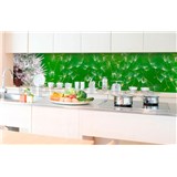 Samolepiace tapety za kuchynskú linku púpavy rozmer 350 cm x 60 cm