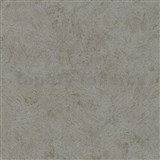 Vliesové tapety na stenu IMPOL  Basic moderná štruktúrovaná omietkovina hnedá