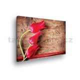 Obraz na plátne tulipány na dreve 100 x 75 cm - POSLEDNÝ KUS