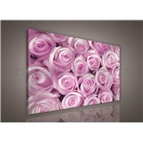 Obraz na stenu ružové ruže 75 x 100 cm