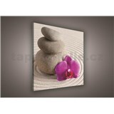 Obraz na stenu wellness orchidea 80 x 80 cm