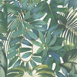 Vliesové tapety na stenu PintWalls zelené listy na bielom podklade - POSLEDNÉ KUSY