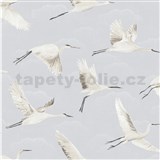 Vliesové tapety na stenu volavky