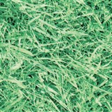Samolepiace tapety zelená tráva 45 cm x 15 m -  POSLEDNÉ METRE