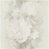 Vliesové tapety na stenu Aurora popínavé kvety na krémovom podklade