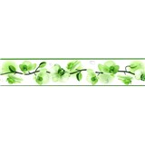 Samolepiaca bordúra kvety orchideí zelené 5 m x 5,8 cm