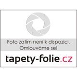 Samolepiace fólie  transparentná mliečna s dekorom 67,5 cm x 15 m - POSLEDNÉ METRE