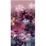 Vliesové fototapety hortenzie ružové rozmer 150 cm x 280 cm