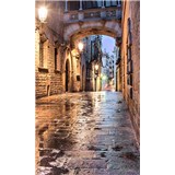 Vliesové fototapety starobylé ulice rozmer 150 cm x 250 cm
