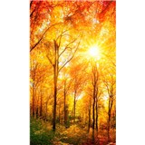Vliesové fototapety slnečný svit v les rozmer 150 cm x 250 cm