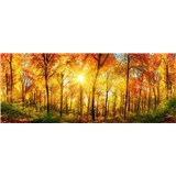 Vliesové fototapety slnečný svit v lese rozmer 375 cm x 150 cm
