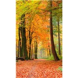 Vliesové fototapety les na jeseň rozmer 150 cm x 250 cm