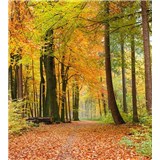 Vliesové fototapety les na jeseň rozmer 225 cm x 250 cm