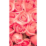 Vliesové fototapety ruže rozmer 150 cm x 250 cm
