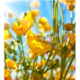 Vliesové fototapety žlté kvety rozmer 225 cm x 250 cm