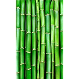 Vliesové fototapety bambus rozmer 150 cm x 250 cm