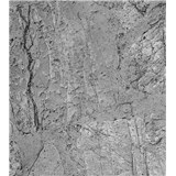 Vliesové fototapety betónový obklad rozmer 225 cm x 250 cm