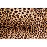 Vliesové fototapety leopardia koža rozmer 375 cm x 250 cm