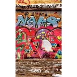 Vliesové fototapety graffiti ulica rozmer 150 cm x 250 cm - POSLEDNÉ KUSY