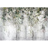 Vliesové fototapety betónová stena s popínavými rastlinami rozmer 368 cm x 254 cm