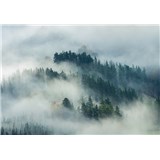 Vliesové fototapety lesy v hmle rozmer 368 cm x 254 cm
