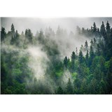 Vliesové fototapety les v hmle rozmer 368 cm x 254 cm