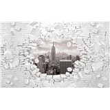 Vliesové fototapety 3D New York čierno-biely, rozmer 416 cm x 254 cm