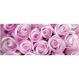 Vliesové fototapety ruže ružové, rozmer 250 x 104 cm
