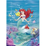Fototapety Disney Malá morská víla Ariel spieva rozmer 184 cm x 254 cm