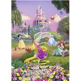 Fototapety Disney Princess západ slnka rozmer 184 cm x 254 cm