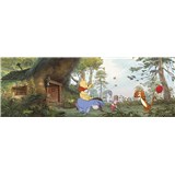Fototapeta Disney Medvedík Pú
