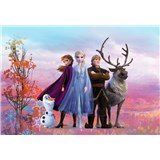 Fototapety Disney Frozen II priatelia rozmer 368 cm x 254 cm