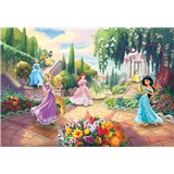 Fototapety Disney Princess park rozmer 368 cm x 254 cm