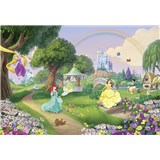 Fototapety Disney Princess dúha rozmer 368 cm x 254 cm