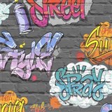 Papierové tapety na stenu Freestyle grafitti na sivej tehlovej stene