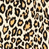 Samolepiace tapety koža leoparda hnedá 45 cm x 15 m