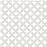 Statické tapety transparentné Elliott White 45 cm x 15 m