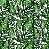 Samolepiace tapety tropical listy - 67,5 cm x 15 m