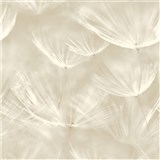 Vliesové tapety na stenu IMPOL púpavy krémovo biele