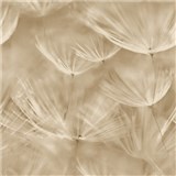 Vliesové tapety na stenu IMPOL púpavy béžové