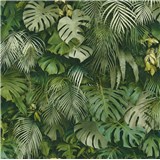 Vliesové tapety na stenu Greenery palmové listy a listy Monstera zelené