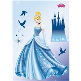 Samolepky na stenu Disney Princess Dream rozmer 50 cm x 70 cm