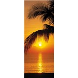 Fototapety palma a západ slnka